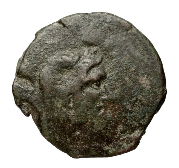 Locri Epizephyrii Historia Numorum Italy 2352, аверс, BnF (IRIS)