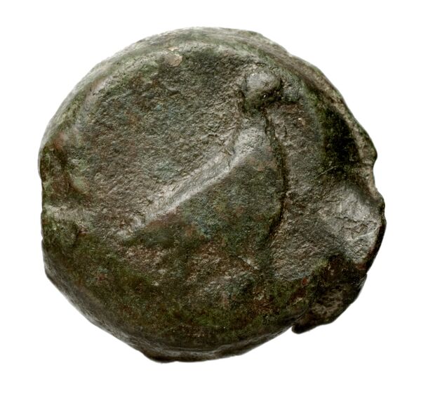 Locri Epizephyrii Historia Numorum Italy 2352, реверс, BnF (IRIS)