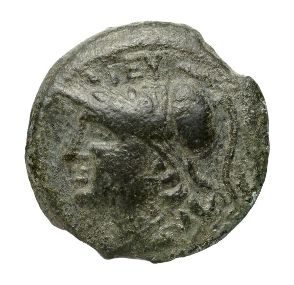 Locri Epizephyrii Historia Numorum Italy 2402-2406, аверс, BnF (IRIS)