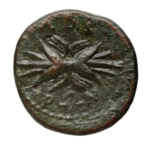 Locri Epizephyrii Historia Numorum Italy 2362-2370, реверс, BnF (IRIS)