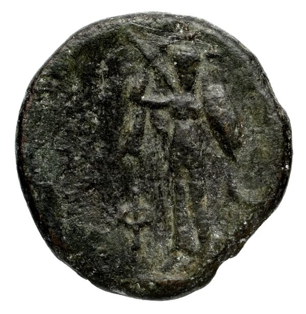 Phaselis Heipp-Tamer 1993 AE 2, аверс, bnf-iris