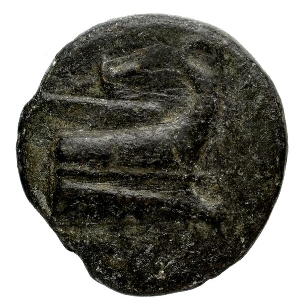 Phaselis Heipp-Tamer 1993 AE 2, реверс, bnf-iris