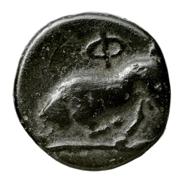 Phlius Mac Isaac 1988 Issue 2, N, реверс, BnF (IRIS)