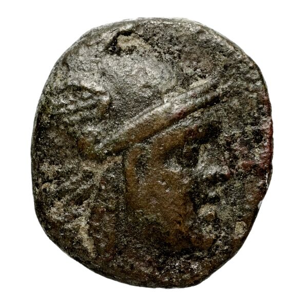 аверс Philip V Macedon AMNG III.2 31