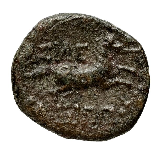 реверс Philip V Macedon AMNG III.2 31