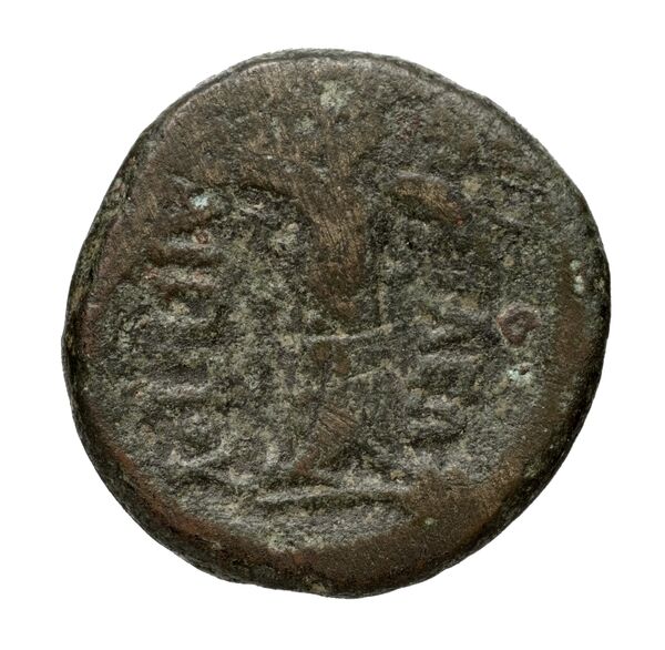 реверс Philip V Macedon AMNG III.2 22