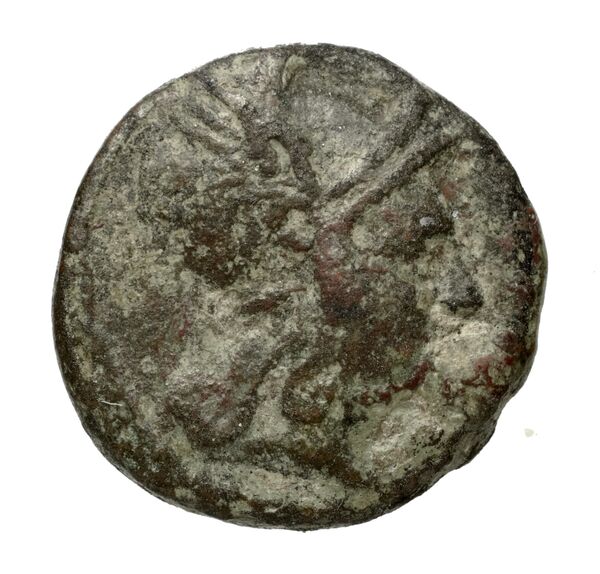 аверс Philip V Macedon AMNG III.2 30