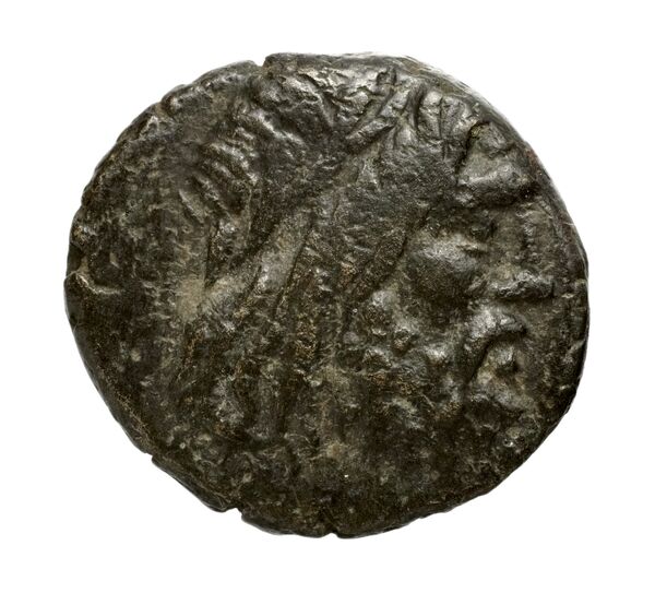 аверс Philip V Macedon AMNG III.2 11