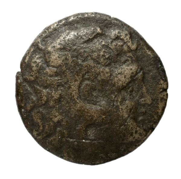 аверс Philip V Macedon AMNG III.2 12