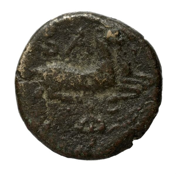 реверс Philip V Macedon AMNG III.2 12
