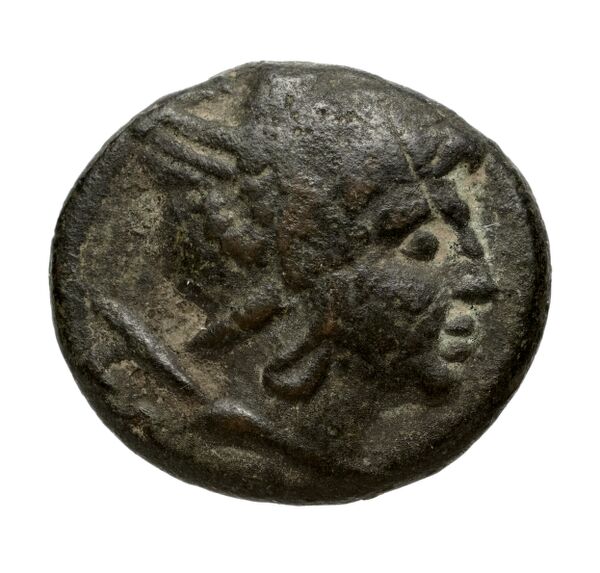 аверс Philip V Macedon AMNG III.2 20-21