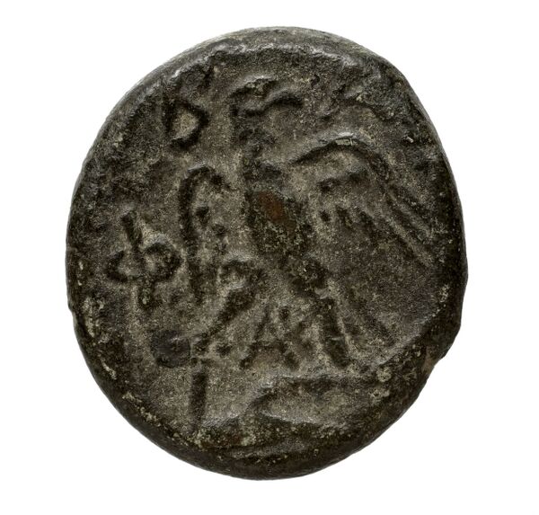 реверс Philip V Macedon AMNG III.2 20-21