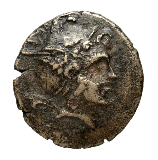 Perseus Macedon AMNG III.2 6-7, аверс, bnf-iris