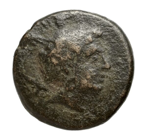 Perseus Macedon AMNG III.2 8, аверс, bnf-iris