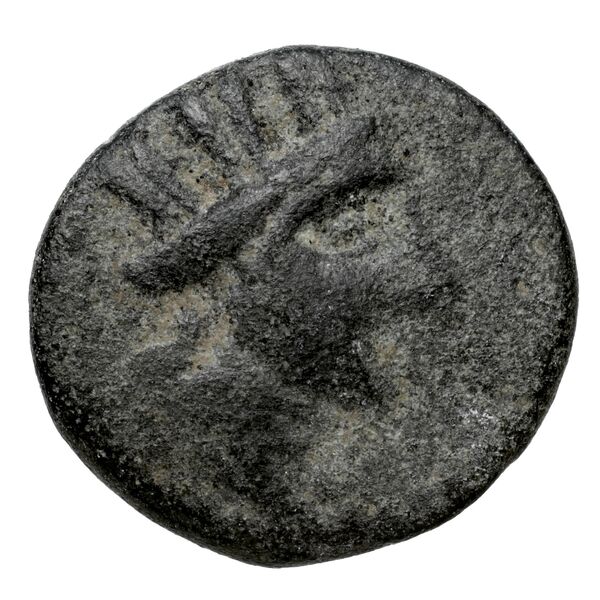 Aradus Duyrat 2005 1643-1732, аверс, bnf-iris