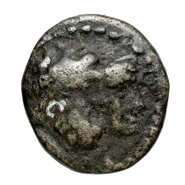 Aradus Duyrat 2005 4228-4381, аверс, bnf-iris