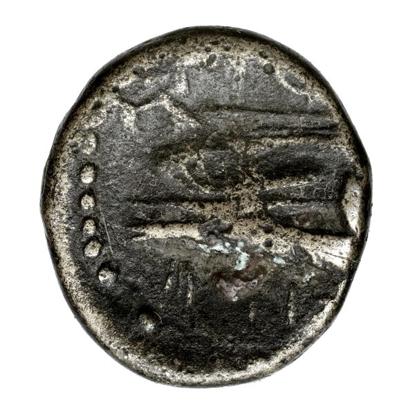 Aradus Duyrat 2005 4228-4381, реверс, bnf-iris
