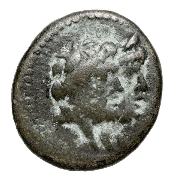 Aradus Duyrat 2005 4228-4381, аверс, bnf-iris
