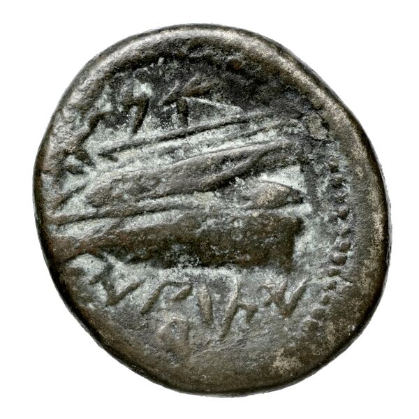 Aradus Duyrat 2005 4228-4381, реверс, bnf-iris