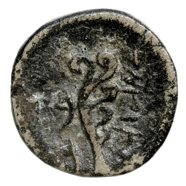 Aradus Duyrat 2005 2495-2572, реверс, bnf-iris