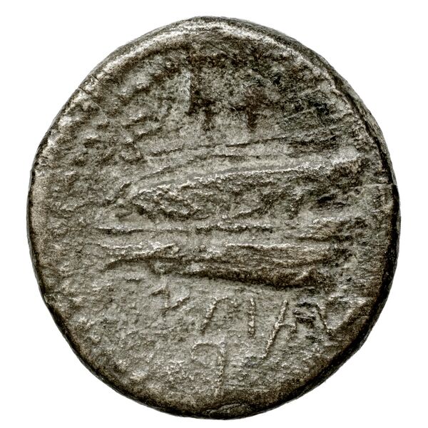 Aradus Duyrat 2005 4228-4381, реверс, bnf-iris