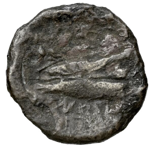 Aradus Duyrat 2005 4228-4381, реверс, bnf-iris