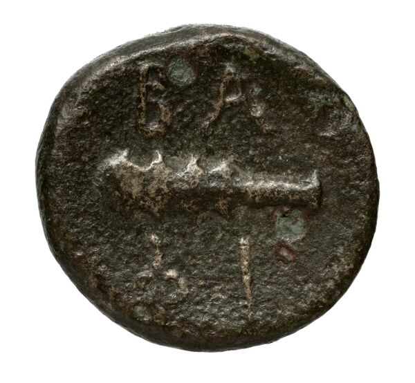 реверс Philip V Macedon AMNG III.2 2