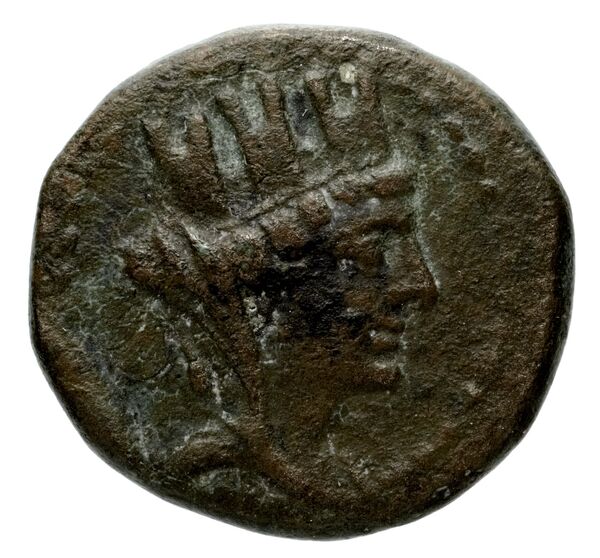 Laodicea ad Mare BMC Laodiceia ad Mare 1-3, аверс, BnF (IRIS)