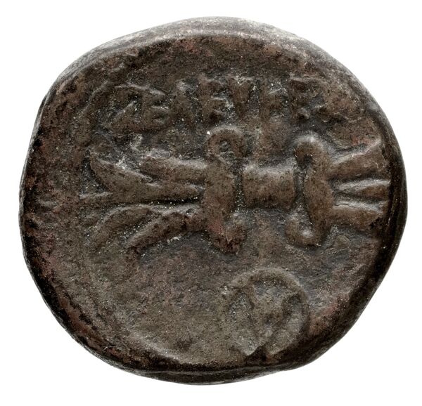 Seleuceia Pieria BMC Seleuceia in Pieria 5-6, реверс, bnf-iris