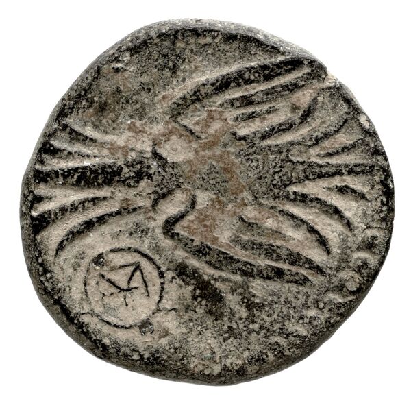 Seleuceia Pieria BMC Seleuceia in Pieria 1-4, реверс, bnf-iris