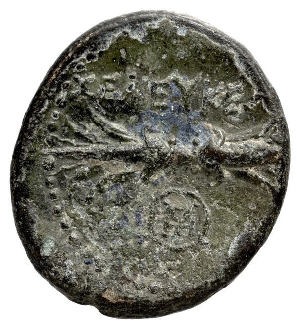 Seleuceia Pieria BMC Seleuceia in Pieria 5-6, реверс, bnf-iris