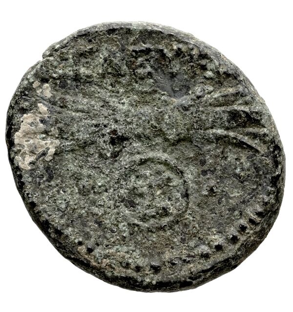 Seleuceia Pieria BMC Seleuceia in Pieria 5-6, реверс, bnf-iris