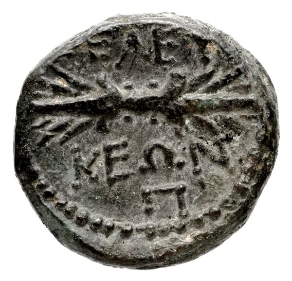Seleuceia Pieria BMC Seleuceia in Pieria 5-6, реверс, bnf-iris