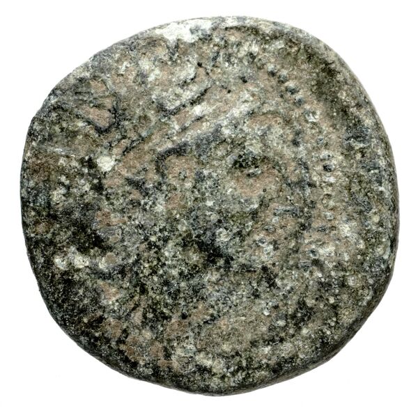 Seleuceia Pieria Butcher 2004 Autonomous coinage a, аверс, bnf-iris