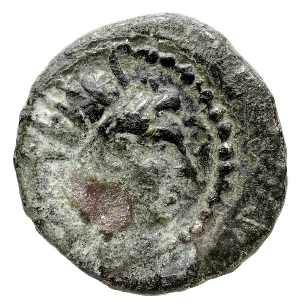 Seleuceia Pieria Butcher 2004 Autonomous coinage a, аверс, bnf-iris
