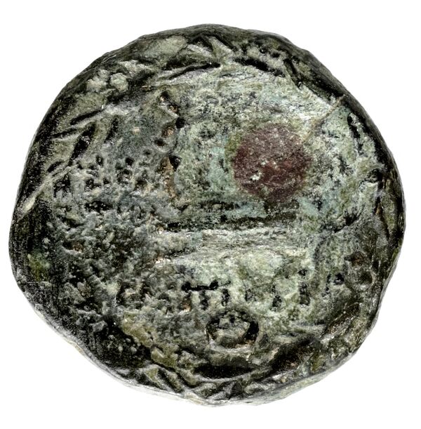 Seleuceia Pieria Butcher 2004 Autonomous coinage a, реверс, bnf-iris