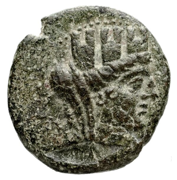 Seleuceia Pieria Butcher 2004 Autonomous coinage a, аверс, bnf-iris
