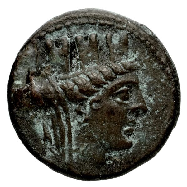 Laodicea ad Mare BMC Laodiceia ad Mare 1-3, аверс, BnF (IRIS)