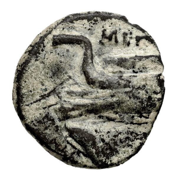 Megara BMC Megara 30-34, аверс, BnF (IRIS)