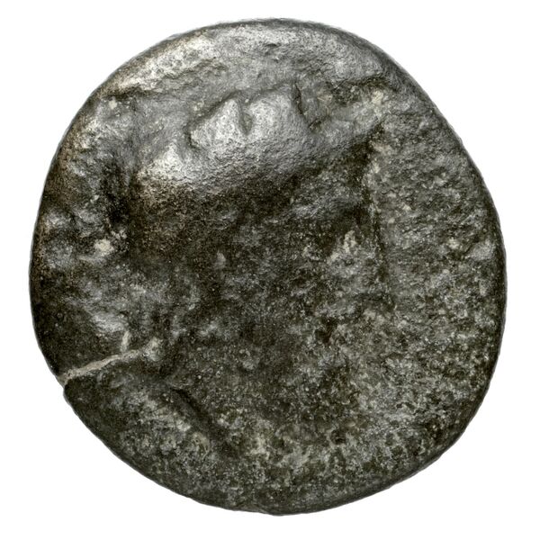 Peparethus Rogers 1932 559, аверс, BnF (IRIS)