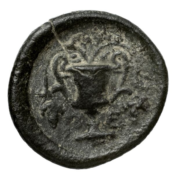 Peparethus Rogers 1932 559, реверс, BnF (IRIS)