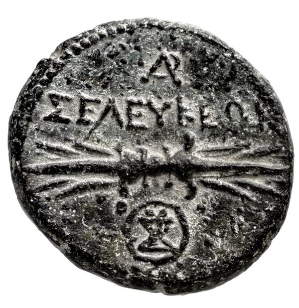 Seleuceia Pieria BMC Seleuceia in Pieria 5-6, реверс, bnf-iris