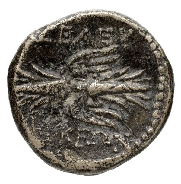 Seleuceia Pieria BMC Seleuceia in Pieria 1-4, реверс, bnf-iris