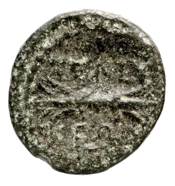 Seleuceia Pieria BMC Seleuceia in Pieria 5-6, реверс, bnf-iris