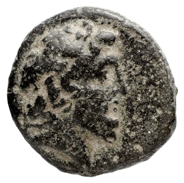 Seleuceia Pieria Butcher 2004 Type A, аверс, bnf-iris