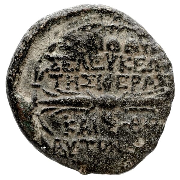 Seleuceia Pieria Butcher 2004 Type A, реверс, bnf-iris