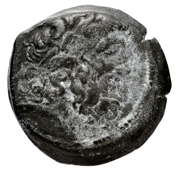 Seleuceia Pieria Butcher 2004 Type A, аверс, bnf-iris