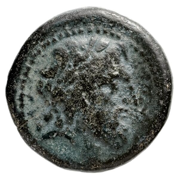 Seleuceia Pieria Butcher 2004 Type A, аверс, bnf-iris