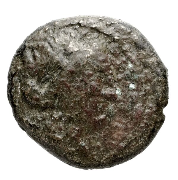 Seleuceia Pieria Butcher 2004 Autonomous coinage b, аверс, bnf-iris