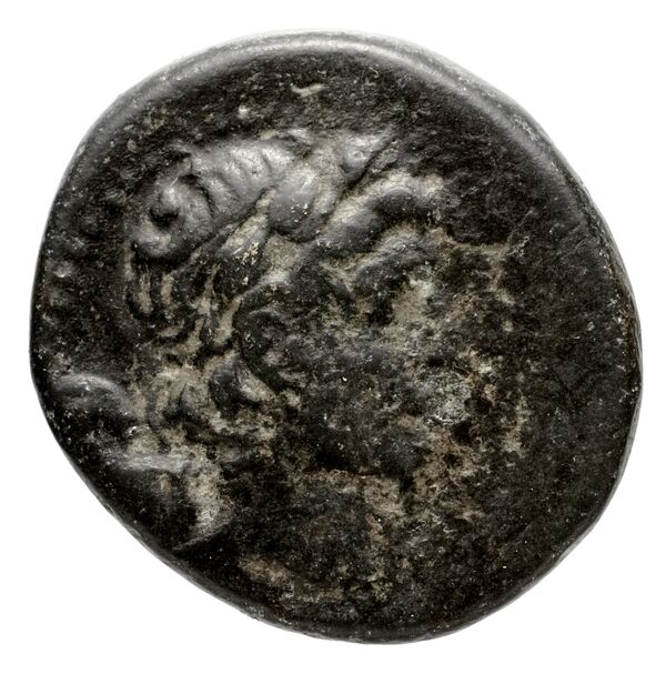 Seleuceia Pieria Butcher 2004 Autonomous coinage b, аверс, bnf-iris